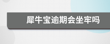 犀牛宝逾期会坐牢吗