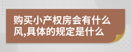 购买小产权房会有什么风,具体的规定是什么