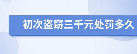 初次盗窃三千元处罚多久