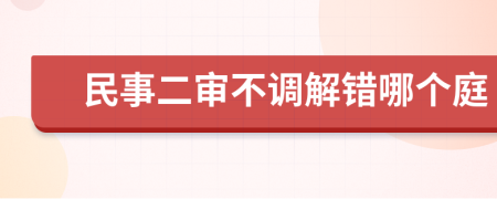 民事二审不调解错哪个庭