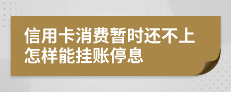 信用卡消费暂时还不上怎样能挂账停息