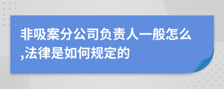 非吸案分公司负责人一般怎么,法律是如何规定的