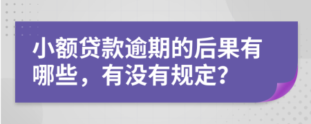 小额贷款逾期的后果有哪些，有没有规定？