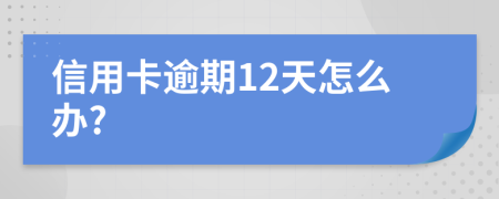 信用卡逾期12天怎么办?