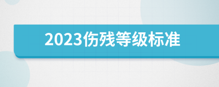 2023伤残等级标准