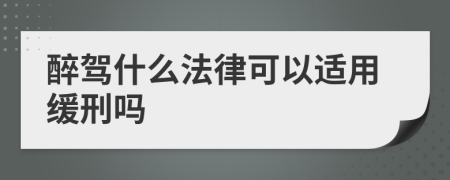 醉驾什么法律可以适用缓刑吗