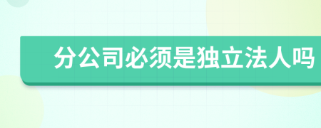 分公司必须是独立法人吗