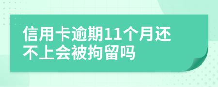 信用卡逾期11个月还不上会被拘留吗