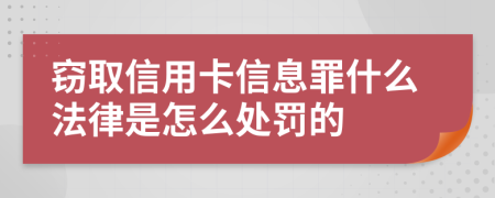 窃取信用卡信息罪什么法律是怎么处罚的