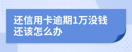 还信用卡逾期1万没钱还该怎么办