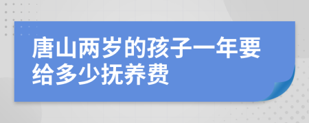 唐山两岁的孩子一年要给多少抚养费