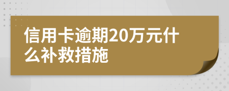 信用卡逾期20万元什么补救措施