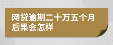 网贷逾期二十万五个月后果会怎样