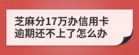 芝麻分17万办信用卡逾期还不上了怎么办