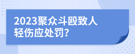 2023聚众斗殴致人轻伤应处罚？