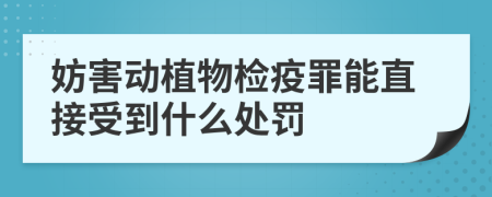 妨害动植物检疫罪能直接受到什么处罚