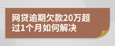 网贷逾期欠款20万超过1个月如何解决