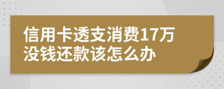 信用卡透支消费17万没钱还款该怎么办