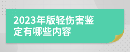 2023年版轻伤害鉴定有哪些内容