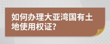 如何办理大亚湾国有土地使用权证？