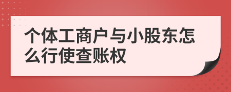 个体工商户与小股东怎么行使查账权