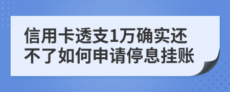 信用卡透支1万确实还不了如何申请停息挂账