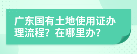广东国有土地使用证办理流程？在哪里办？