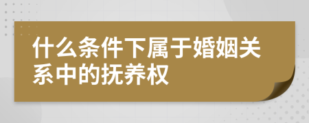 什么条件下属于婚姻关系中的抚养权