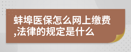 蚌埠医保怎么网上缴费,法律的规定是什么