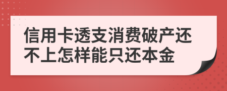 信用卡透支消费破产还不上怎样能只还本金