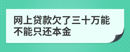 网上贷款欠了三十万能不能只还本金