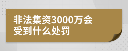 非法集资3000万会受到什么处罚