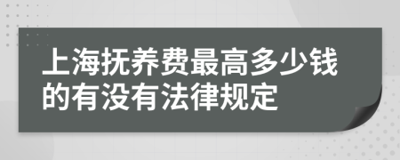 上海抚养费最高多少钱的有没有法律规定