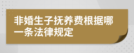 非婚生子抚养费根据哪一条法律规定