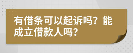 有借条可以起诉吗？能成立借款人吗？