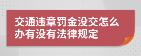 交通违章罚金没交怎么办有没有法律规定