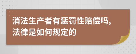 消法生产者有惩罚性赔偿吗,法律是如何规定的