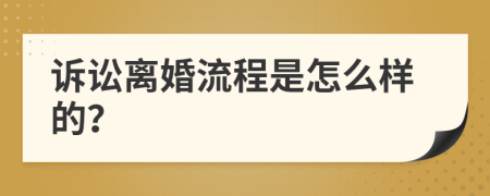 诉讼离婚流程是怎么样的？