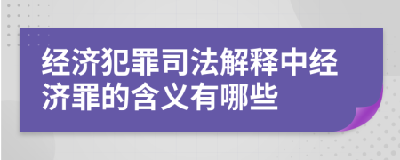 经济犯罪司法解释中经济罪的含义有哪些