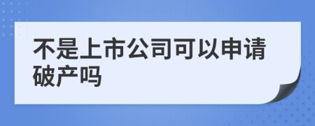 不是上市公司可以申请破产吗