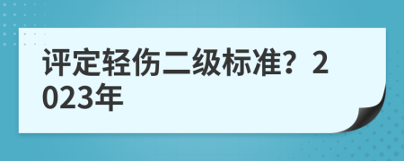 评定轻伤二级标准？2023年