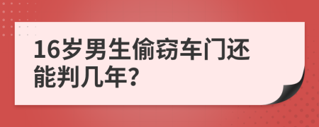 16岁男生偷窃车门还能判几年？