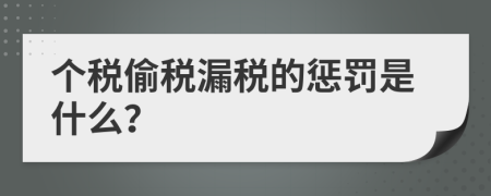 个税偷税漏税的惩罚是什么？