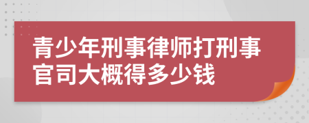 青少年刑事律师打刑事官司大概得多少钱