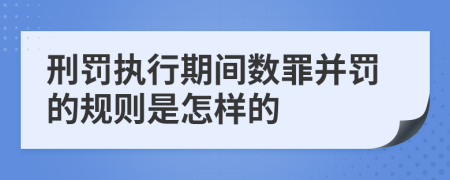 刑罚执行期间数罪并罚的规则是怎样的