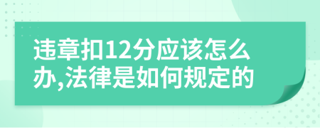 违章扣12分应该怎么办,法律是如何规定的