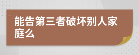 能告第三者破坏别人家庭么