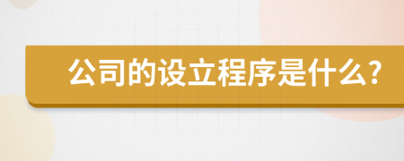 公司的设立程序是什么?