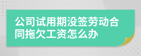 公司试用期没签劳动合同拖欠工资怎么办