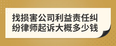 找损害公司利益责任纠纷律师起诉大概多少钱